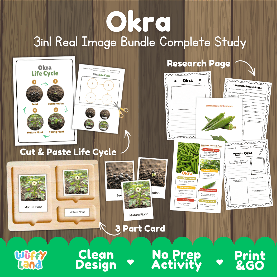 Okra 3in1 real image bundle complete study printable featuring life cycle cut and paste worksheets, Montessori 3-part cards, and research pages