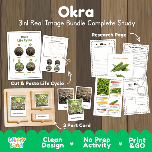 Okra 3in1 real image bundle complete study printable featuring life cycle cut and paste worksheets, Montessori 3-part cards, and research pages