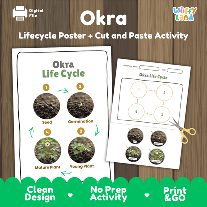 Okra plant life cycle educational printable pack cover showing visual reference poster and cut and paste sequencing worksheet with real photography