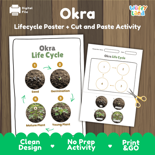 Okra plant life cycle educational printable pack cover showing visual reference poster and cut and paste sequencing worksheet with real photography
