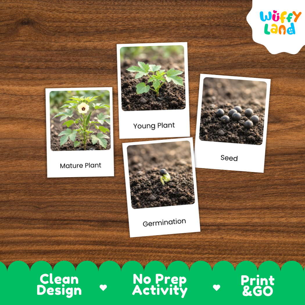 Four educational photo cards about plant growth arranged on a brown wood background. The cards show labeled images of a mature plant, a young plant, seeds, and germination.