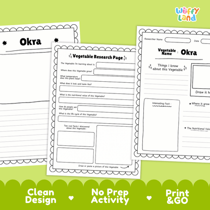 Okra Vegetable Research Worksheets and Informational Fact Sheets