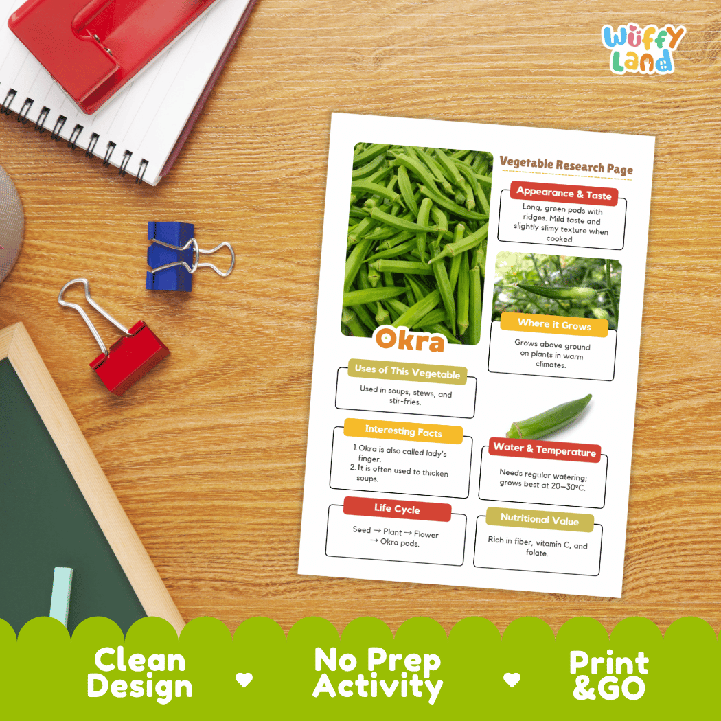 Okra Vegetable Research Worksheets and Informational Fact Sheets