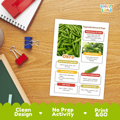 Okra Vegetable Research Worksheets and Informational Fact Sheets