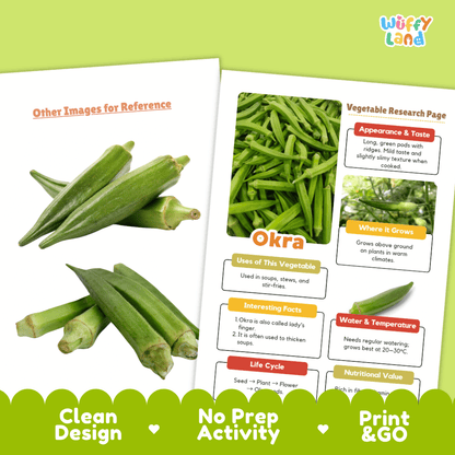 Okra Vegetable Research Worksheets and Informational Fact Sheets