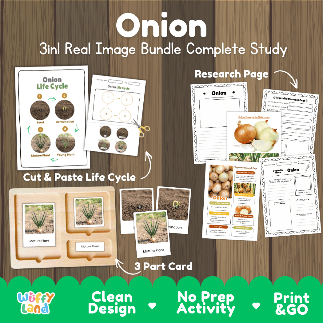 Onion 3in1 real image bundle complete study printable featuring life cycle cut and paste worksheets, Montessori 3-part cards, and research pages