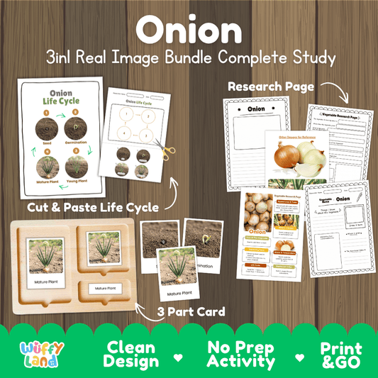 Onion 3in1 real image bundle complete study printable featuring life cycle cut and paste worksheets, Montessori 3-part cards, and research pages