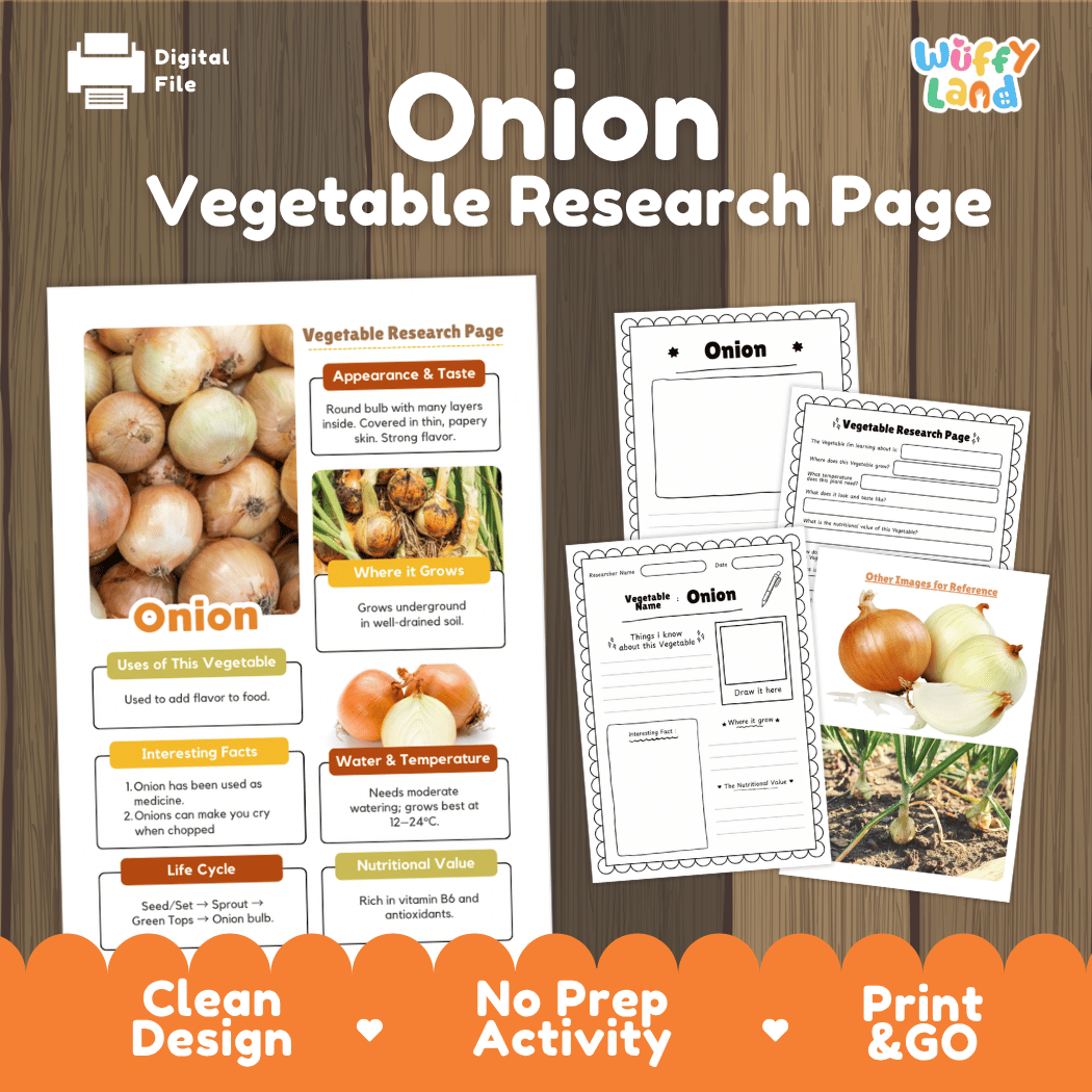 Onion Vegetable Research Page Science Worksheets and Fact Sheet