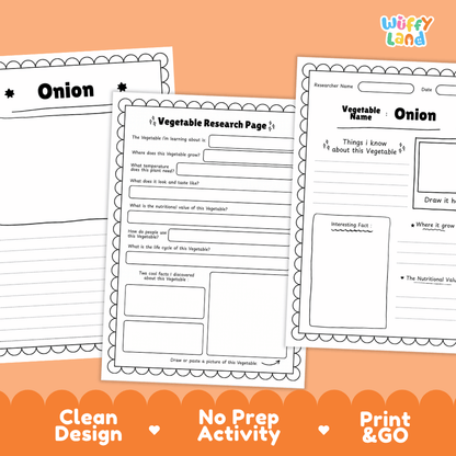 Onion Vegetable Research Page Science Worksheets and Fact Sheet