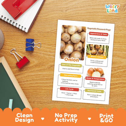 Onion Vegetable Research Page Science Worksheets and Fact Sheet