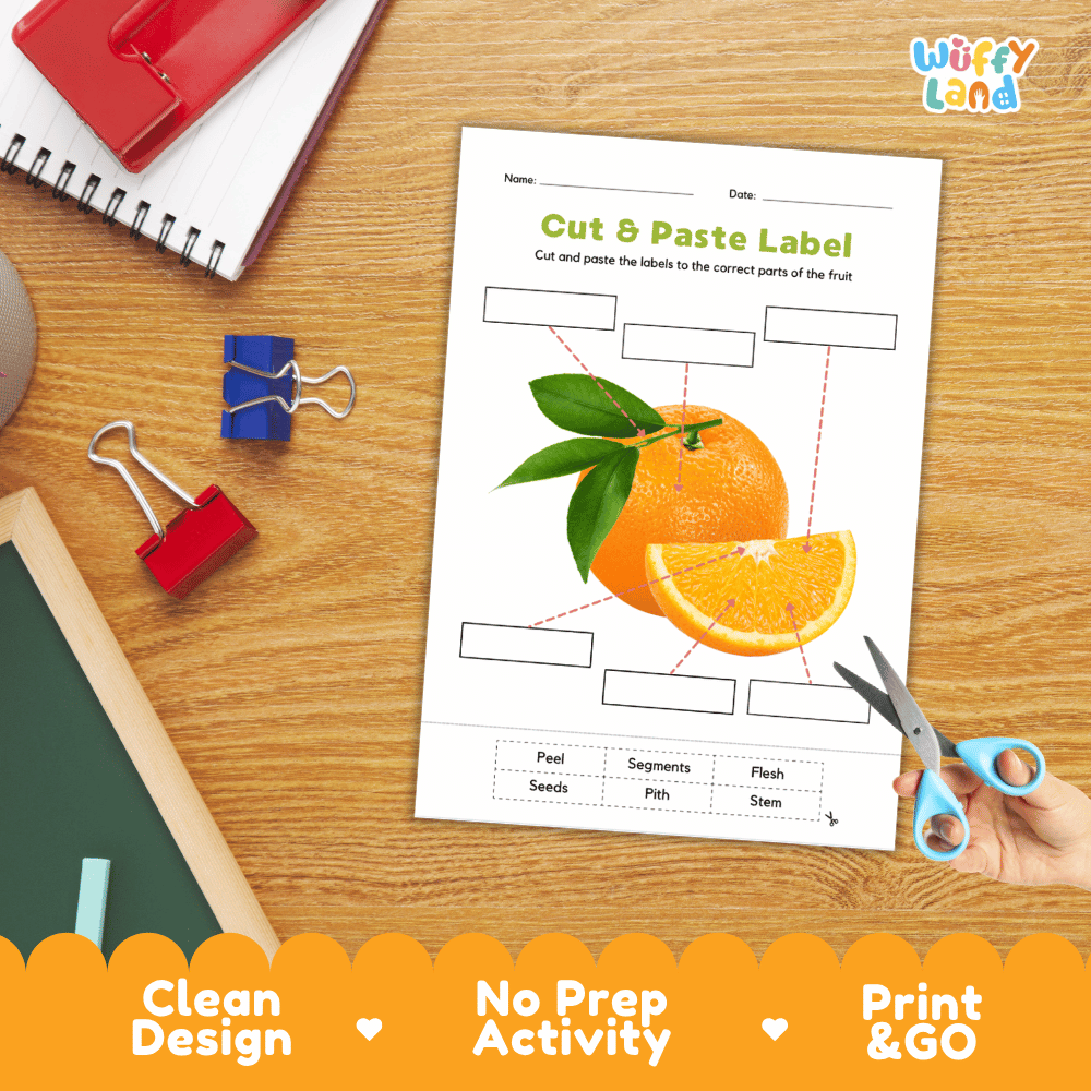 Printable plant biology worksheet showing whole and sliced ripe oranges with blank labeling boxes and a vocabulary word bank for writing practice