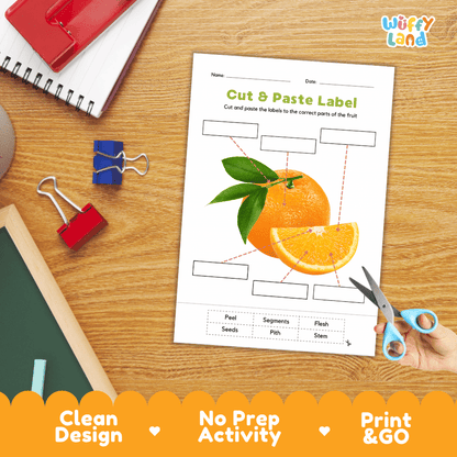 Printable plant biology worksheet showing whole and sliced ripe oranges with blank labeling boxes and a vocabulary word bank for writing practice