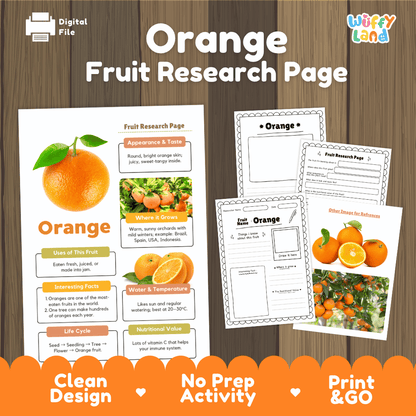 Student fruit research printable fact sheet detailing orange appearance, worldwide production facts, warm climate, and nutrition with real images 📝🔍