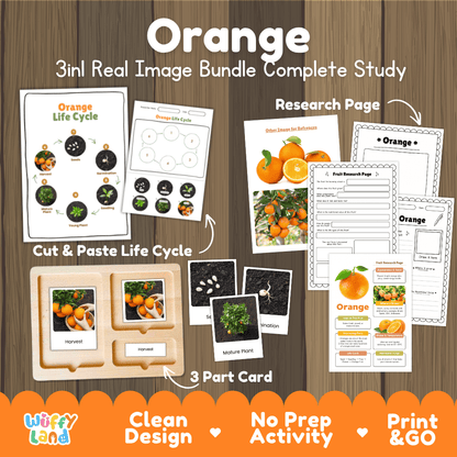 Complete Orange 3-in-1 real image study bundle featuring cut and paste worksheets, Montessori 3-part cards, and research pages 🍊🌱
