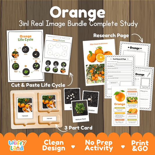 Complete Orange 3-in-1 real image study bundle featuring cut and paste worksheets, Montessori 3-part cards, and research pages 🍊🌱