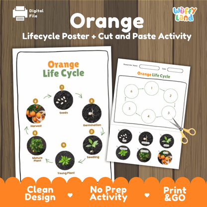 Printable orange life cycle cut and paste sequencing worksheet with real photography of seeds, germination, seedling, and harvest ✂️🔄