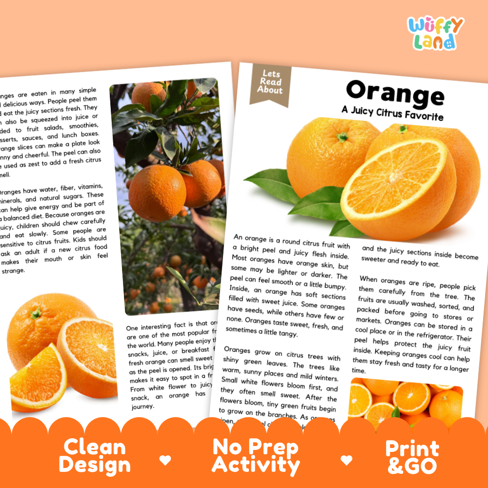 Student reading comprehension worksheet with short-answer questions and lined sections about orange citrus fruit