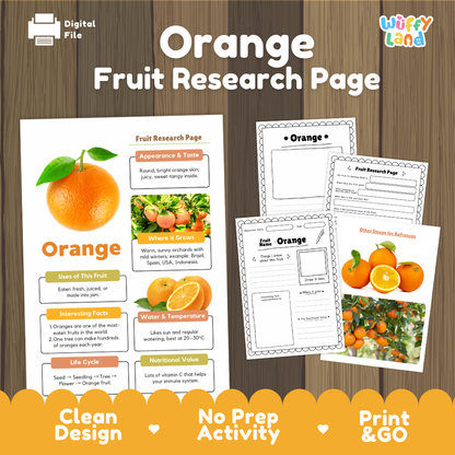 Digital preview of an 'Orange Fruit Research Page' activity sheet set on a wood background. The image shows the main printable page, several activity pages, and a 'Digital File' icon, with the brand name 'Wiffly Land' in the top right.