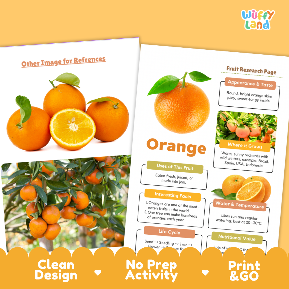 Two printed worksheet pages about orange fruit displayed on a warm orange background. The pages show fruit photos, labeled sections such as Appearance & Taste, Use of This Fruit, Interesting Facts, Water & Temperature, and Life Cycle, with the brand name Wiffly Land at the top right.