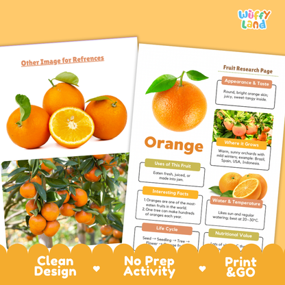 Two printed worksheet pages about orange fruit displayed on a warm orange background. The pages show fruit photos, labeled sections such as Appearance & Taste, Use of This Fruit, Interesting Facts, Water & Temperature, and Life Cycle, with the brand name Wiffly Land at the top right.