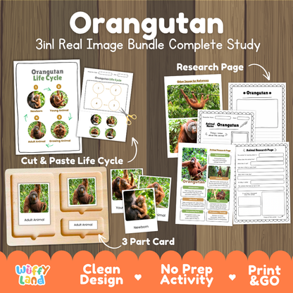 Orangutan 3-in-1 real image bundle complete study cover showing cut and paste life cycle, 3 part cards, and research pages
