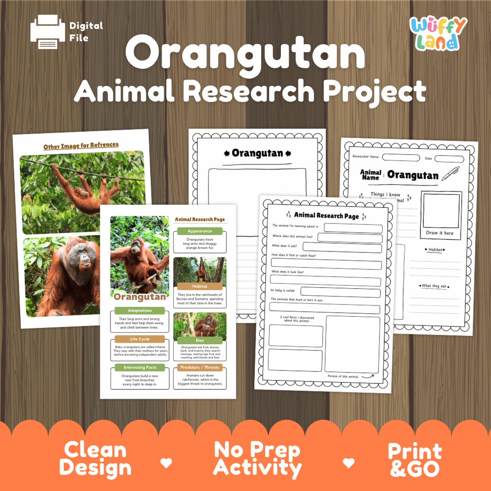 Digital download activity sheet set titled 'Orangutan Animal Research Project' on a wood-textured background, showing printable worksheets and reference pages with orangutan photos, plus an orange banner at the bottom reading 'Clean Design', 'No Prep Activity', and 'Print & GO'.
