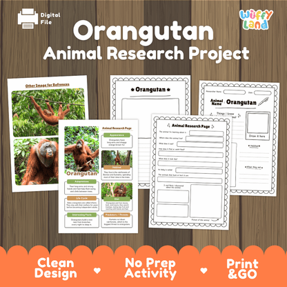 Digital download activity sheet set titled 'Orangutan Animal Research Project' on a wood-textured background, showing printable worksheets and reference pages with orangutan photos, plus an orange banner at the bottom reading 'Clean Design', 'No Prep Activity', and 'Print & GO'.