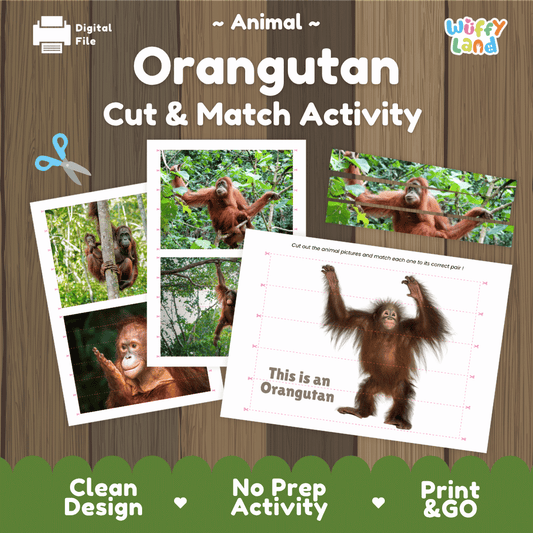Orangutan Cut and Match Activity Worksheets | Animal Puzzle Printables
