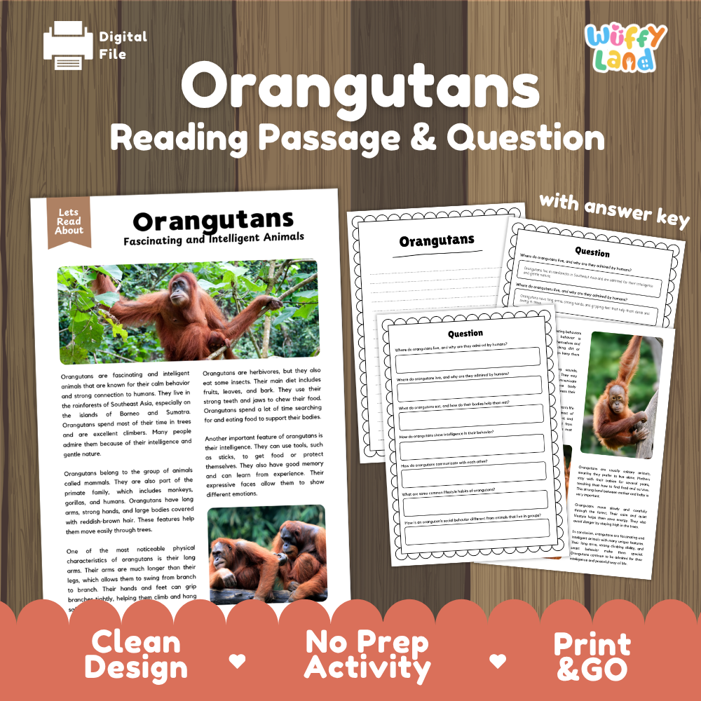 Orangutans Reading Passage and Comprehension Questions Worksheets with Answer Key
