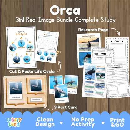 Orca 3-in-1 real image bundle complete study cover showing cut and paste life cycle, 3 part cards, and research pages   