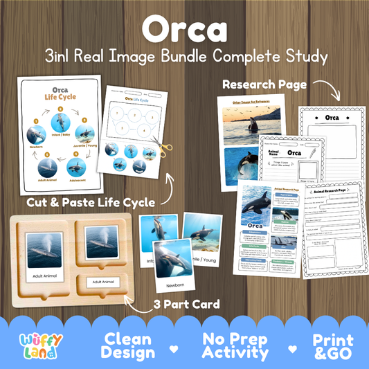 Orca 3-in-1 real image bundle complete study cover showing cut and paste life cycle, 3 part cards, and research pages   
