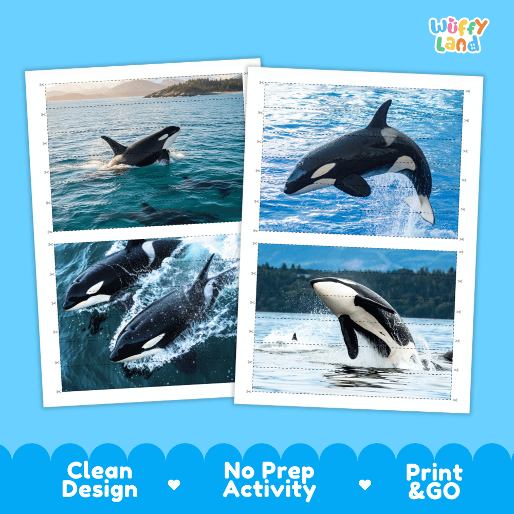 Orca Cut and Match Puzzle Activity Worksheets