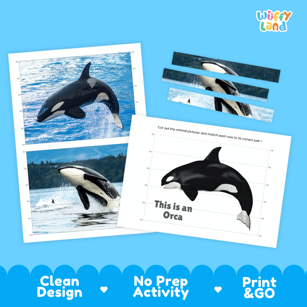 Orca Cut and Match Puzzle Activity Worksheets