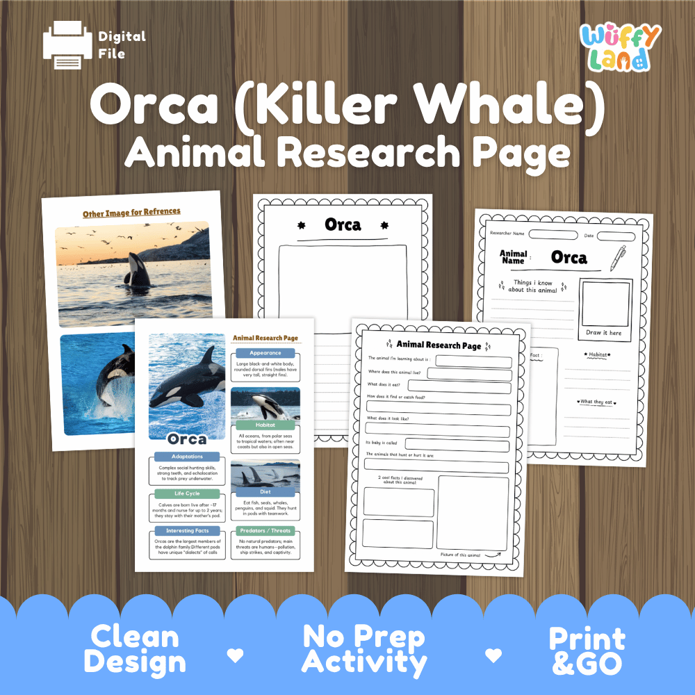 Orca Animal Research Page printable activity sheet set on a wood background, featuring worksheet pages and reference cards with orca photos and text fields. Brand logo 'Wiffy Land' appears in the top right, and 'Digital File' is shown in the top left.