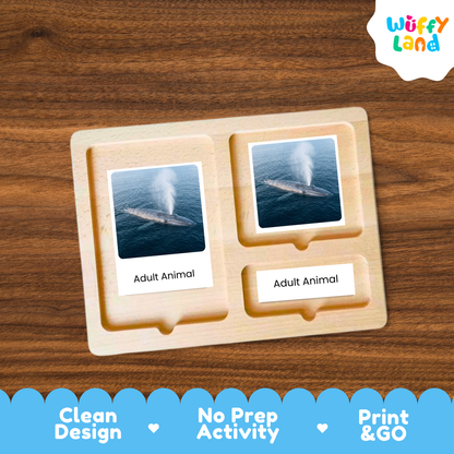 A wooden Montessori-style activity tray labeled 'Adult Animal' with two photo slots showing animal images, placed on a wood surface. The 'Wuffy Land' logo appears in the top right, and a blue banner at the bottom reads 'Clean Design', 'No Prep Activity', and 'Print & GO'.