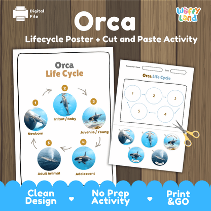 Orca Life Cycle Poster and Cut and Paste Activity Worksheets