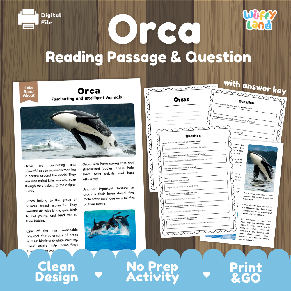 Orca Reading Passage & Question digital activity sheet set by Wiffly Land, featuring an orca reading passage, worksheet question pages, and an answer key on a wood-textured background with promotional text at the bottom.