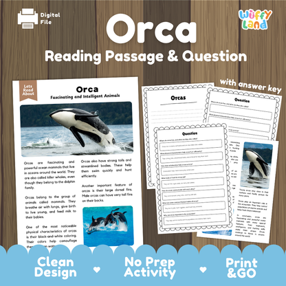 Orca Reading Passage & Question digital activity sheet set by Wiffly Land, featuring an orca reading passage, worksheet question pages, and an answer key on a wood-textured background with promotional text at the bottom.
