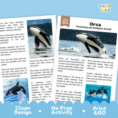 Orca Reading Passage and Comprehension Questions with Answer Key Worksheets