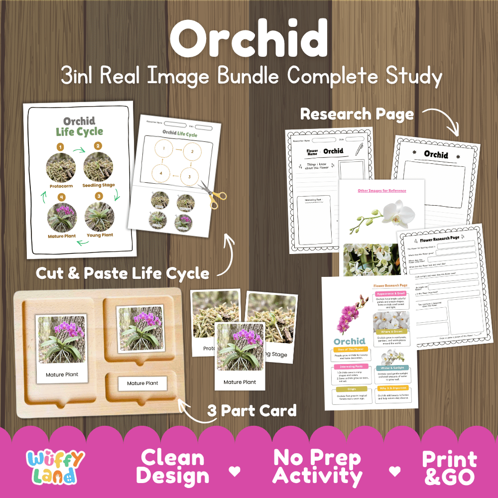 Orchid flower 3in1 real image bundle complete study printable featuring life cycle cut and paste worksheets, Montessori 3-part cards, and research pages