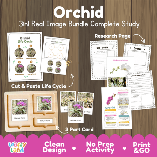 Orchid flower 3in1 real image bundle complete study printable featuring life cycle cut and paste worksheets, Montessori 3-part cards, and research pages