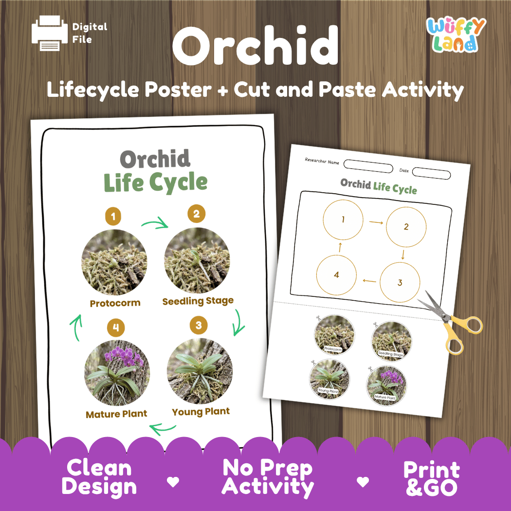 Orchid Life Cycle Poster and Cut and Paste Worksheet Activity