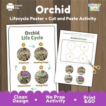 Orchid Life Cycle Poster and Cut and Paste Worksheet Activity