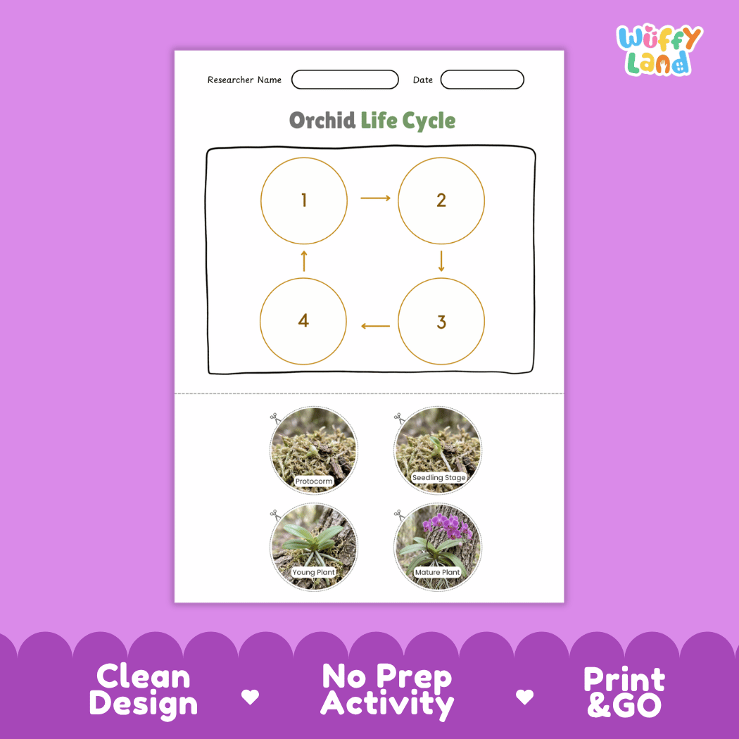 Orchid Life Cycle Poster and Cut and Paste Worksheet Activity