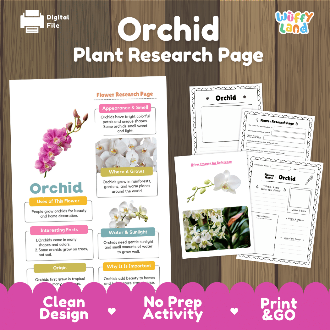 Orchid Plant Research Page and Worksheets Print and Go Activity