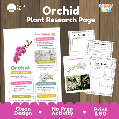 Orchid Plant Research Page and Worksheets Print and Go Activity