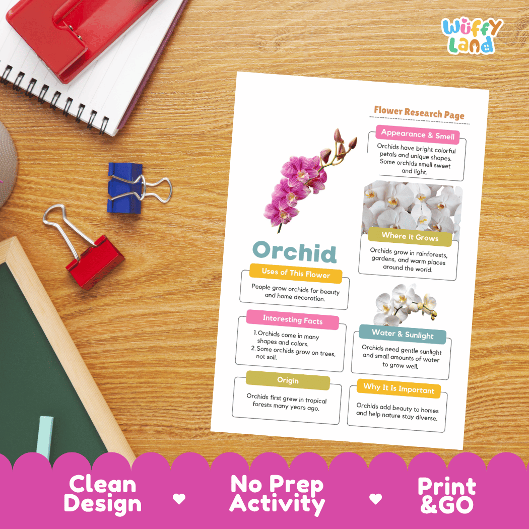 Orchid Plant Research Page and Worksheets Print and Go Activity