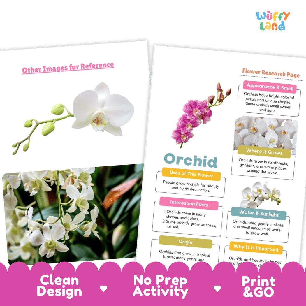 Orchid Plant Research Page and Worksheets Print and Go Activity