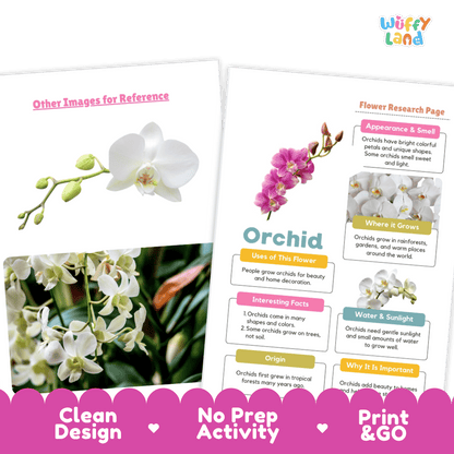 Orchid Plant Research Page and Worksheets Print and Go Activity