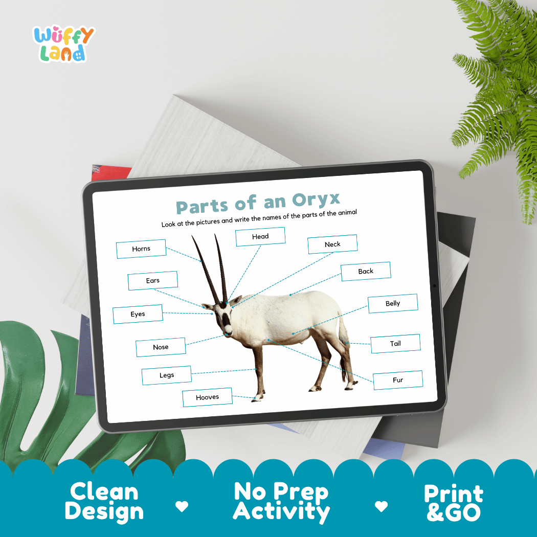 Hands-on oryx anatomy cut and paste worksheet with printable word tags, callout pointer lines, and scissors graphic